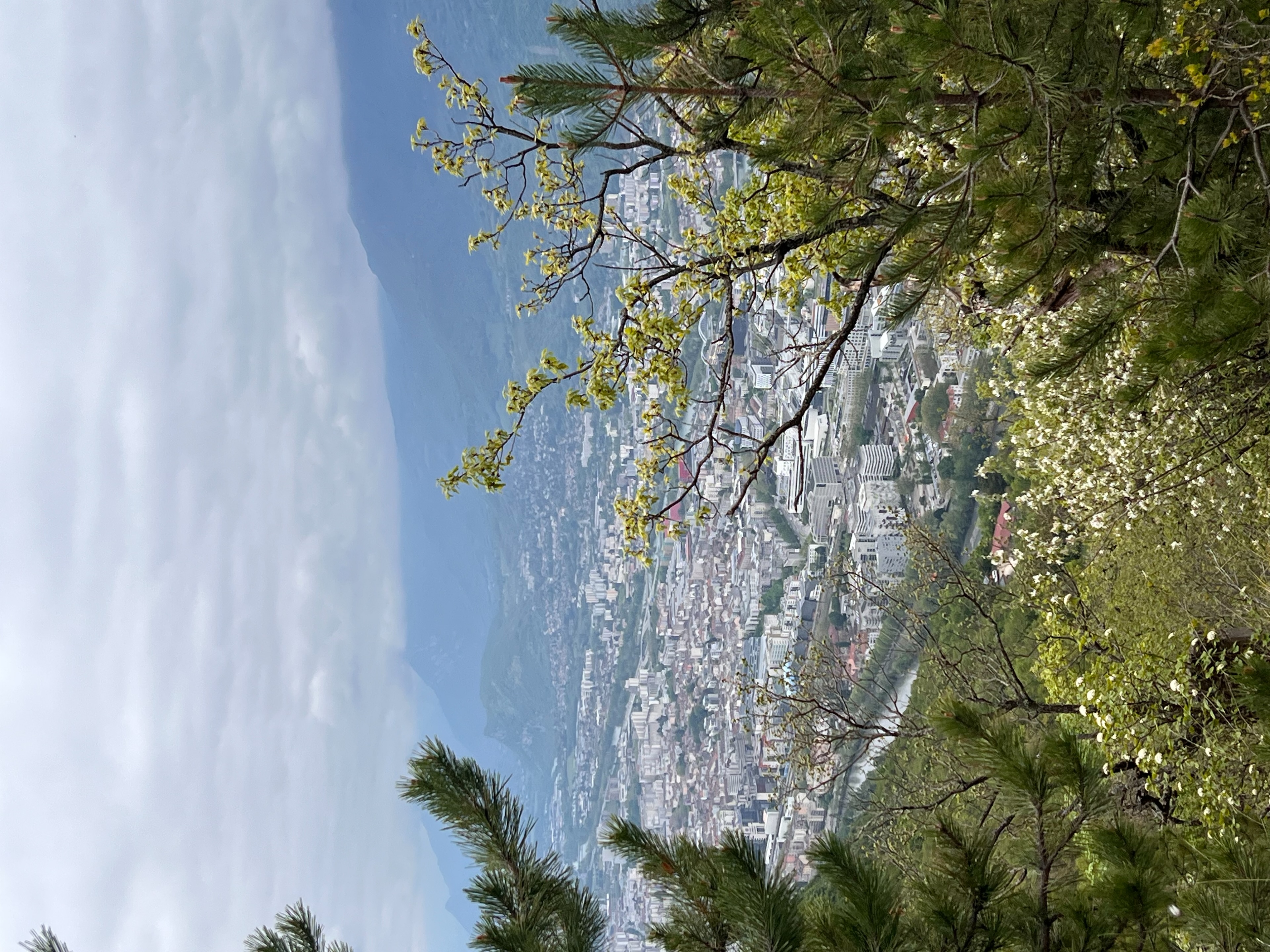 Trail du Néron
