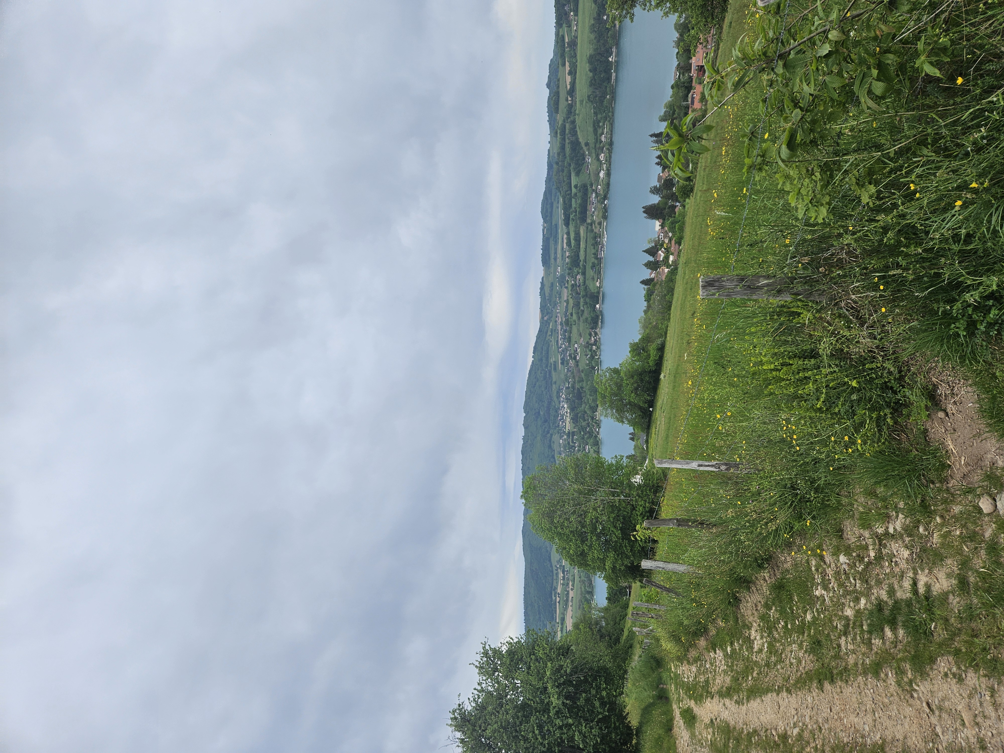Paysage
