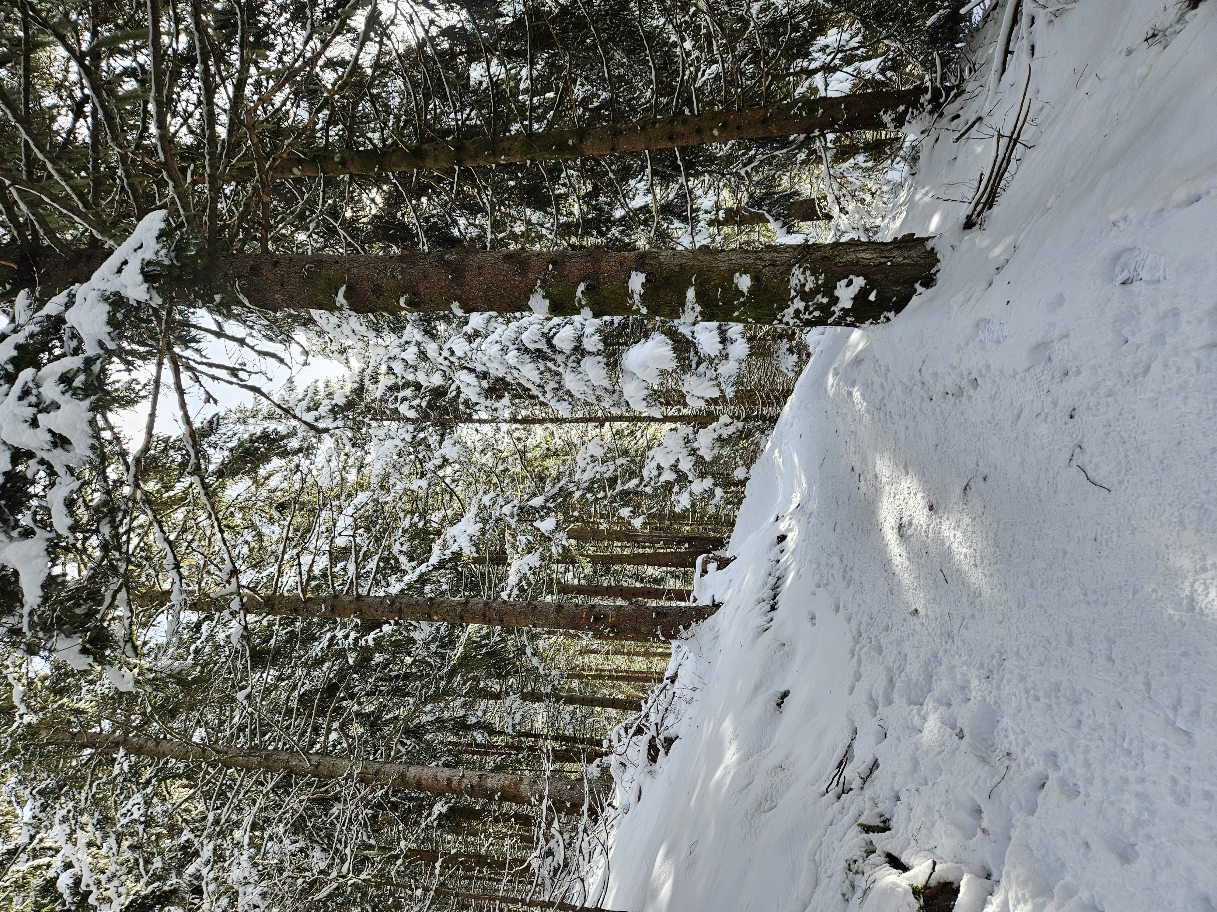 Sentier